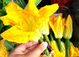 upclose squash blossom